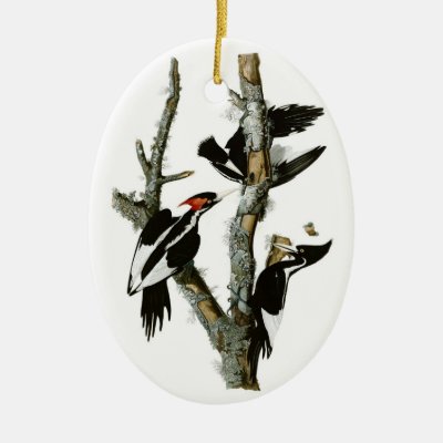 Audubon's Ivory-billed Woodpecker Ceramic Ornament