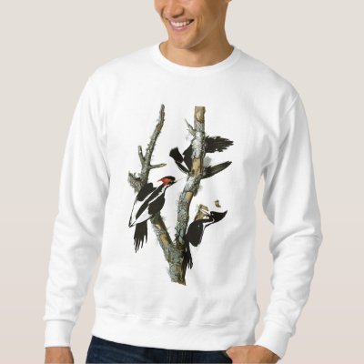 Audubon&#39;s Ivory-billed Woodpecker Sweatshirt