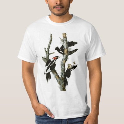 Audubon&#39;s Ivory-billed Woodpecker T-Shirt