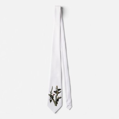 Audubon&#39;s Ivory-billed Woodpecker Tie