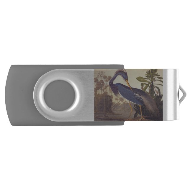 Audubon's Louisiana Heron in Coastal Landscape Flash Drive (Front)