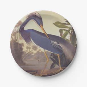 Audubon's Louisiana Heron or Tricolored Heron Paper Plates