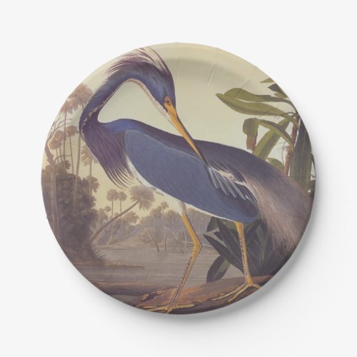 Audubons Louisiana Heron or Tricolored Heron Paper Plates