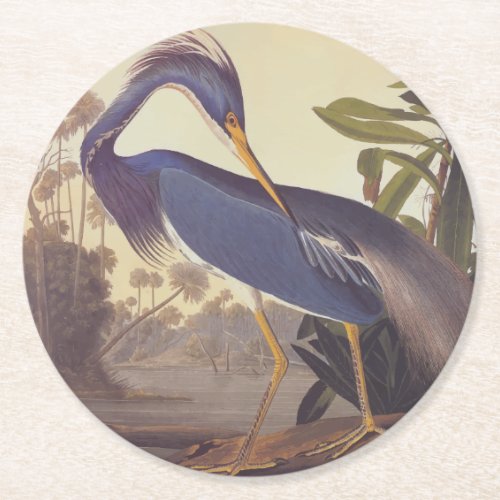 Audubons Louisiana Heron or Tricolored Heron Round Paper Coaster