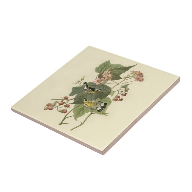 Audubon's Magnolia Warbler Ceramic Tile (Side)