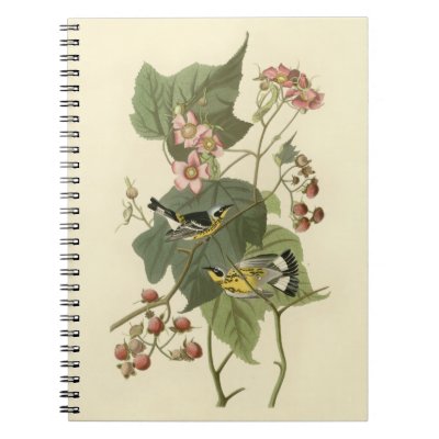 Audubon&#39;s Magnolia Warbler Notebook