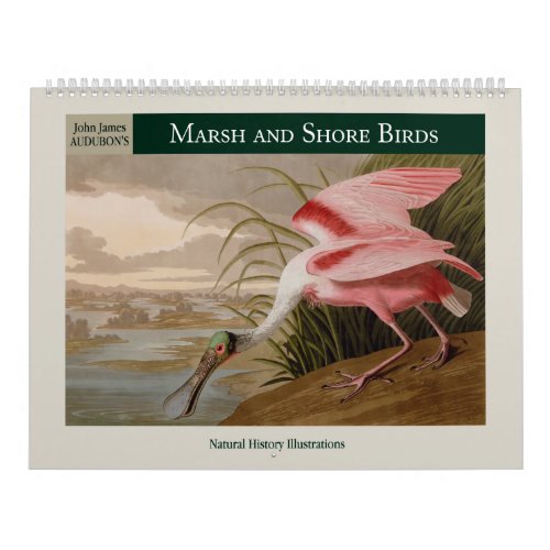 Audubons Marsh and Shore Birds 2024 Calendar