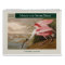 Audubon's Marsh and Shore Birds 2026