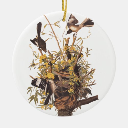 Audubons Mocking Bird Ceramic Ornament