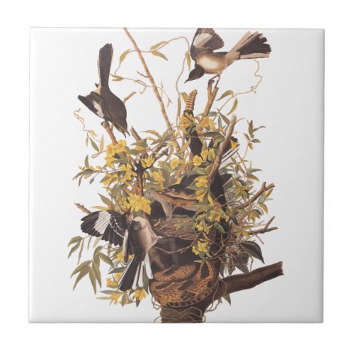 Audubons Mocking Bird Ceramic Tile