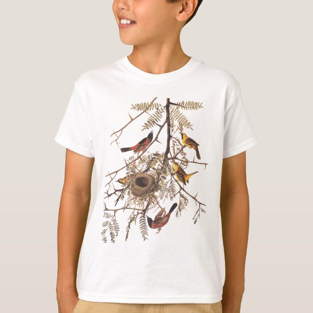 Audubon's Orchard Oriole Bird in Honey Locust Tree T-Shirt (Front)