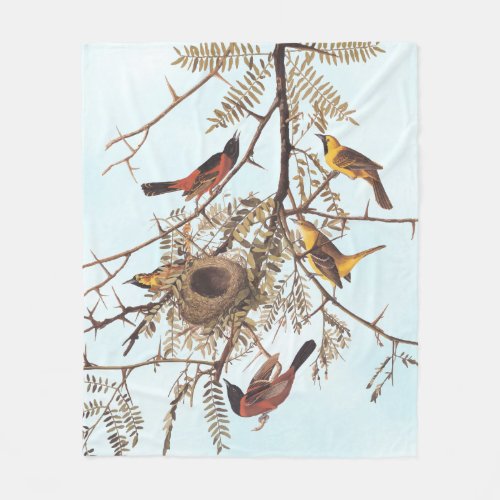 Audubons Orchard Oriole Birds in a Honey Locust Fleece Blanket