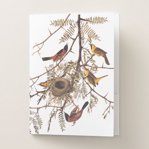 Audubons Orchard Oriole Birds Nesting in Tree Pocket Folder