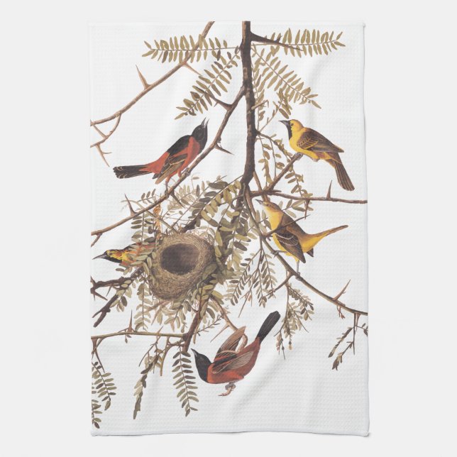 Audubon's Orchard Oriole Birds Nesting in Tree Towel (Vertical)