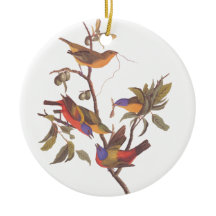 Audubon's Painted Bunting Family of Five Birds