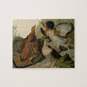 Audubon's Painting of a trio of Ruffed Grouse Jigsaw Puzzle