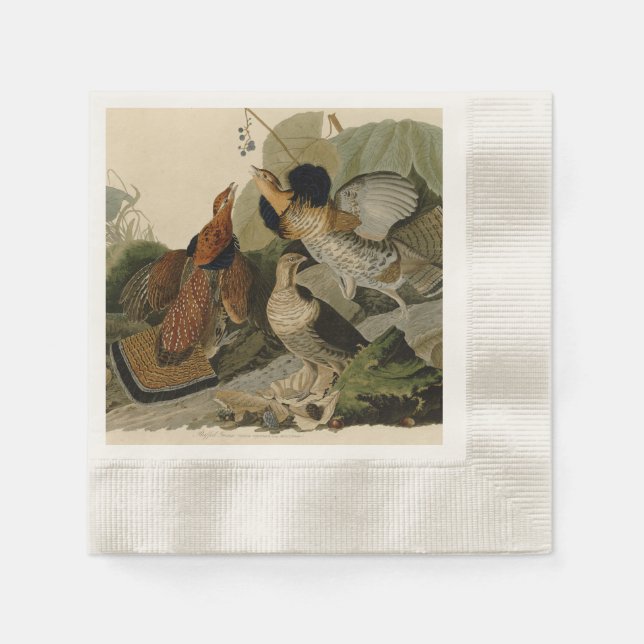 Audubon's Painting of a trio of Ruffed Grouse Paper Napkins (Front)