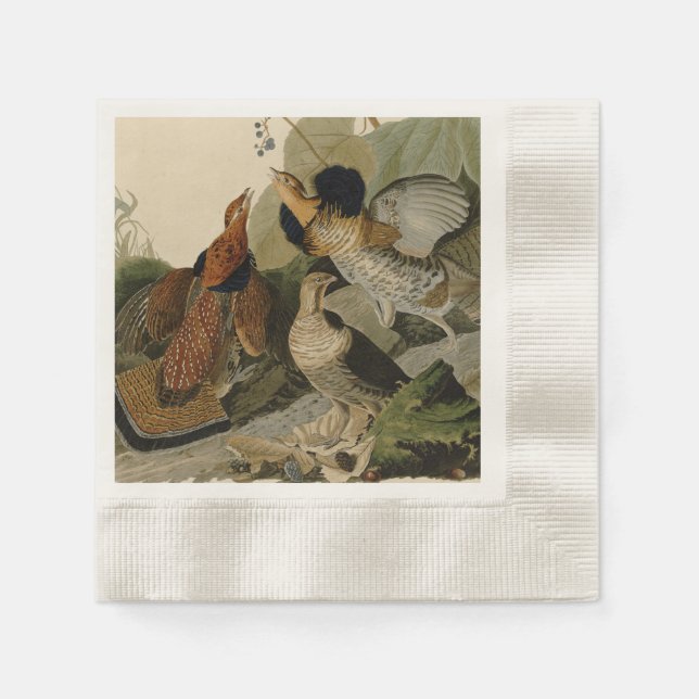 Audubon's Painting of a trio of Ruffed Grouse Paper Napkins (Front)