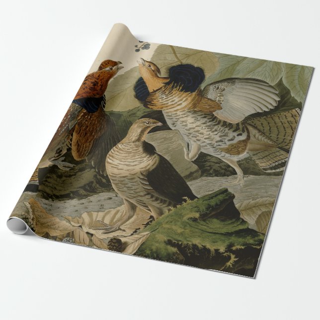 Audubon's Painting of a trio of Ruffed Grouse Wrapping Paper (Unrolled)