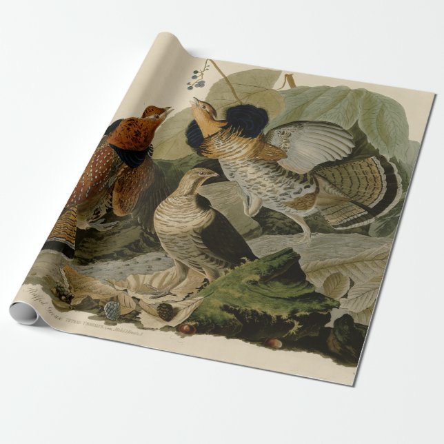 Audubon's Painting of a trio of Ruffed Grouse Wrapping Paper (Unrolled)