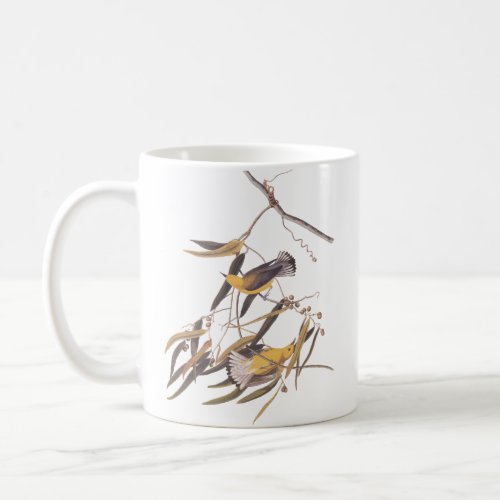 Audubons Prothonotary Warbler Birds on Cane Vine Coffee Mug