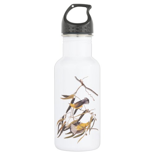 Audubons Prothonotary Warbler Birds on Cane Vine Stainless Steel Water Bottle