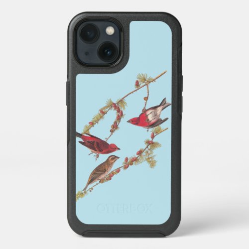 Audubons Purple Finch Red Birds iPhone 13 Case