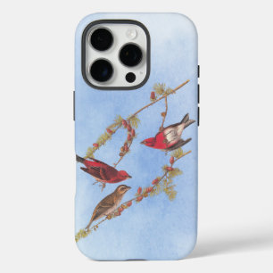 Audubon's Purple Finch Red Birds Vintage Art iPhone 16 Pro Case