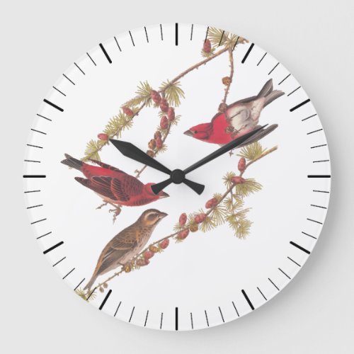 Audubons Purple Finch Red Birds Vintage Art Large Clock