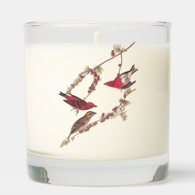 Audubon's Purple Finch Three Red Birds in Winter Scented Candle (Front)