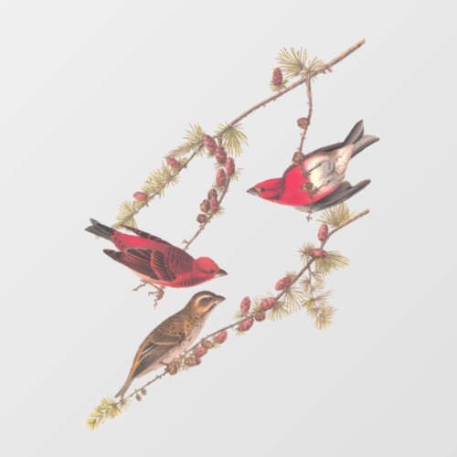 Audubons Purple Finch Three Red Birds in Winter Window Cling