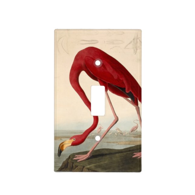 Audubon's Red Flamingo Light Switch Cover (Front)