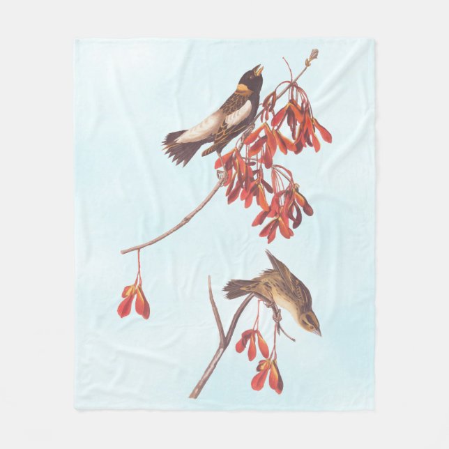 Audubon's Rice Bunting Birds or Bobolink Birds Fleece Blanket (Front)