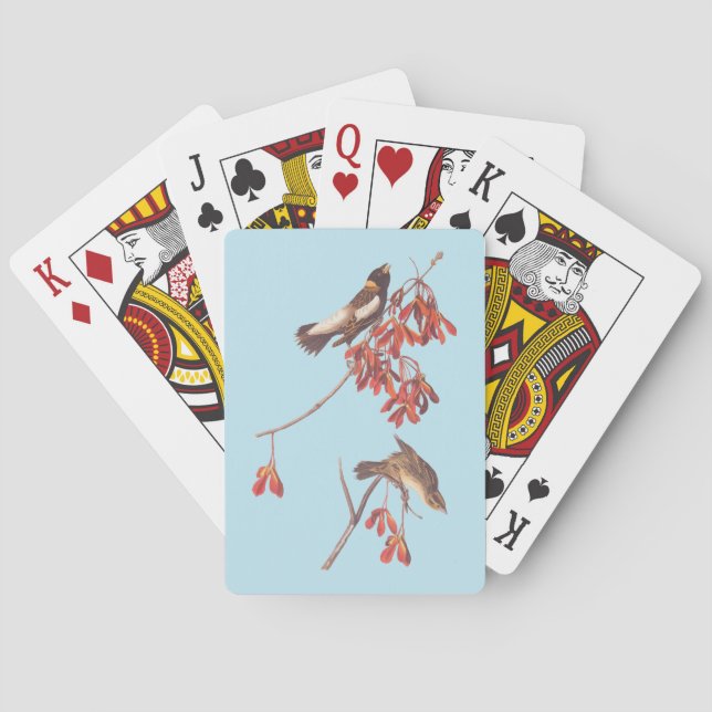 Audubon's Rice Bunting Birds or Bobolink Birds Poker Cards (Back)