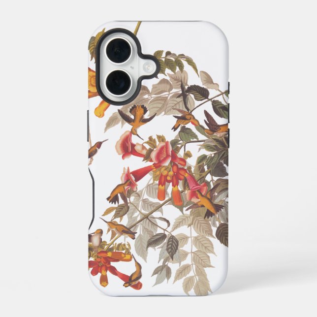 Audubon's Ruby Throated Hummingbirds and Flowers iPhone Case (Back)