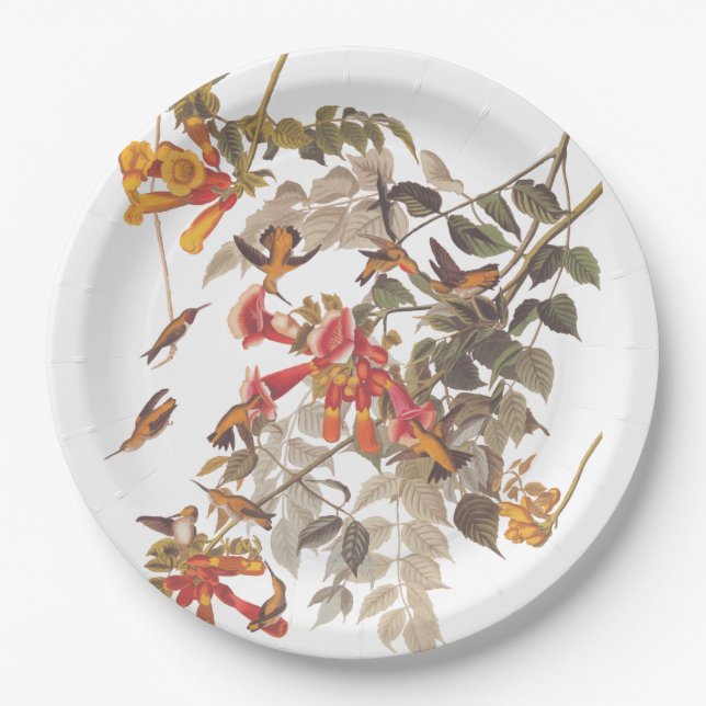 Audubon's Ruby Throated Hummingbirds and Flowers Paper Plates (Front)