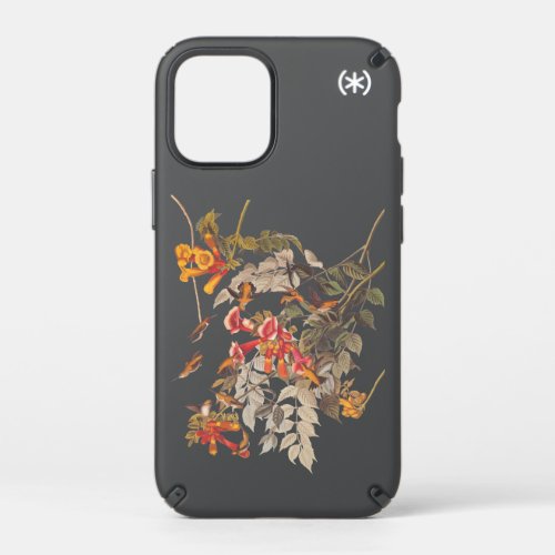 Audubons Ruby Throated Hummingbirds and Flowers  Speck iPhone 12 Mini Case