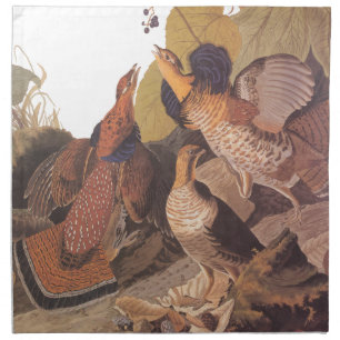 Audubon's Ruffed Grouse on Woodland Floor Napkin