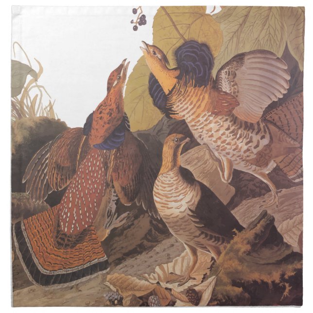 Audubon's Ruffed Grouse on Woodland Floor Napkin (Front)