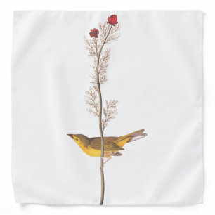 Audubon's Selby's Flycather on Red Wildflower Bandana