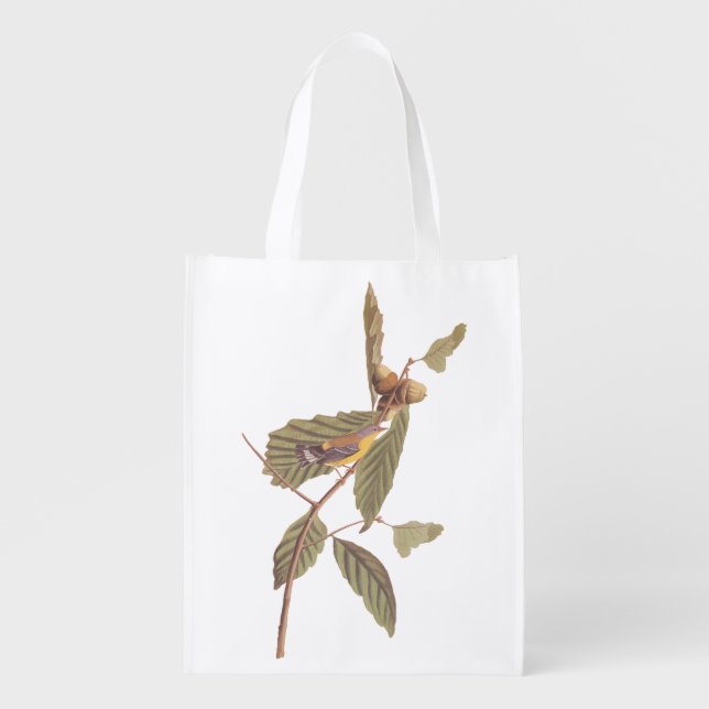 Audubon's Swainson's Warbler on Oak Branch Grocery Bag (Front)