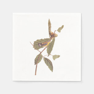 Audubon's Swainson's Warbler on Oak Branch Napkins