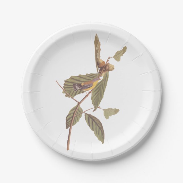Audubon's Swainson's Warbler on Oak Branch Paper Plates (Front)