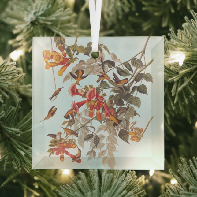 Audubon's Tropical Ruby Throated Hummingbirds Glass Ornament (Insitu)