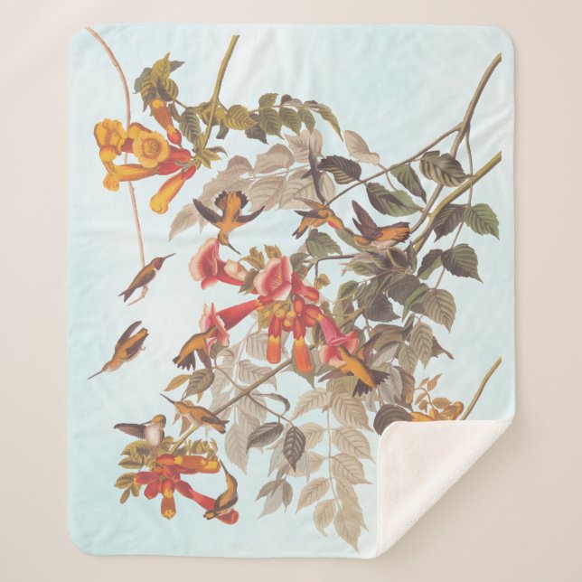 Audubon's Tropical Ruby Throated Hummingbirds Sherpa Blanket (Front)
