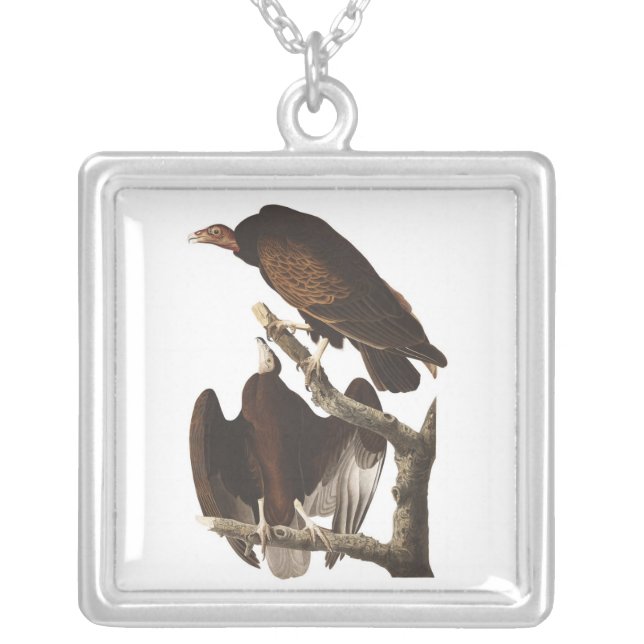 Audubon's Turkey Vulture Silver Plated Necklace (Front)