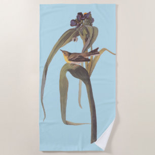 Audubon's Vigor's Vireo Songbird Beach Towel