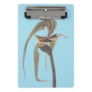 Audubon's Vigor's Vireo Songbird Mini Clipboard