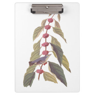 Audubon's Vintage Blue Green Warbler Song Bird Clipboard
