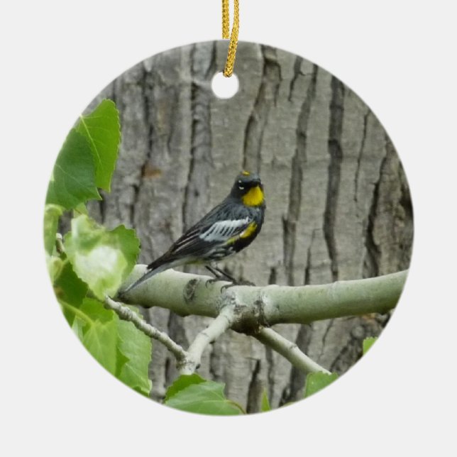 Audubon's Warbler Nature Photography Ceramic Ornament (Front)